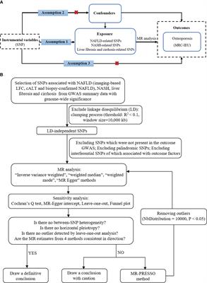 Causal effects of non-alcoholic fatty liver disease on osteoporosis: a Mendelian randomization study